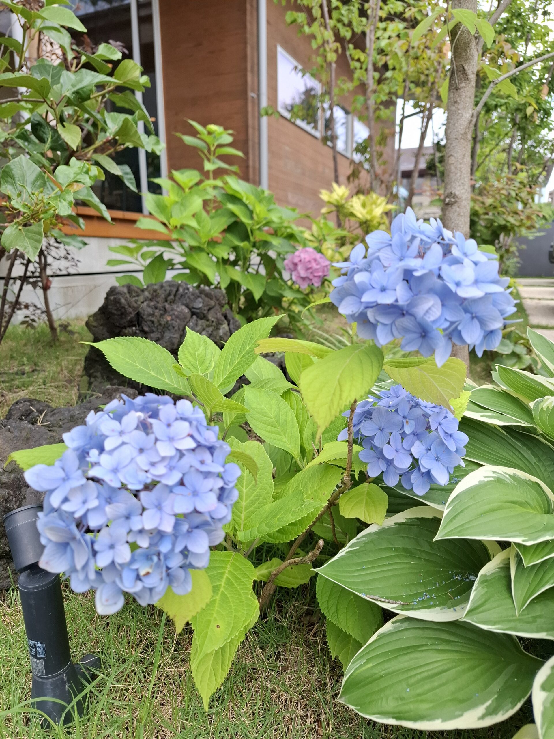 雨対策できていますか？☔